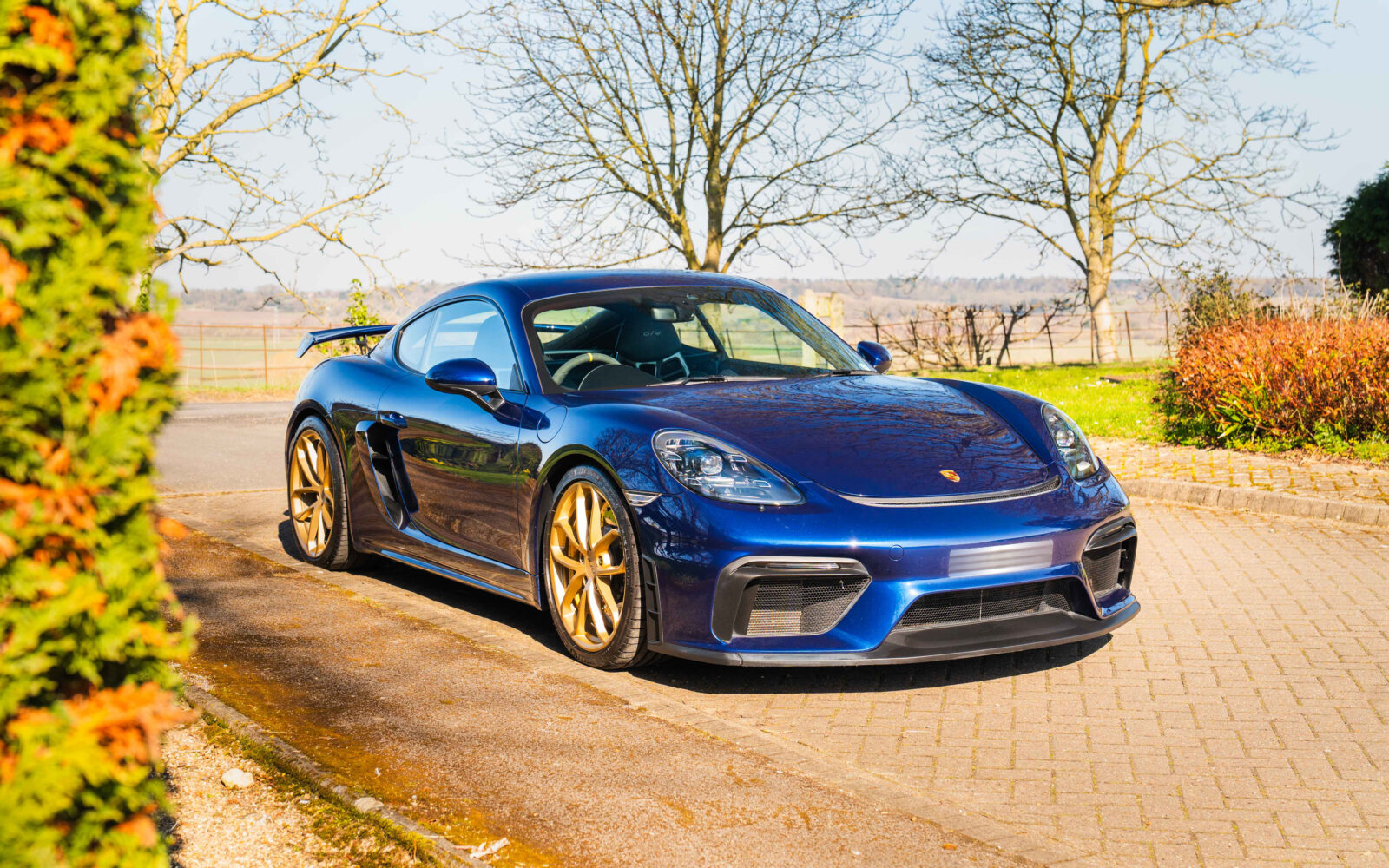 718 GT4 – Blue 1