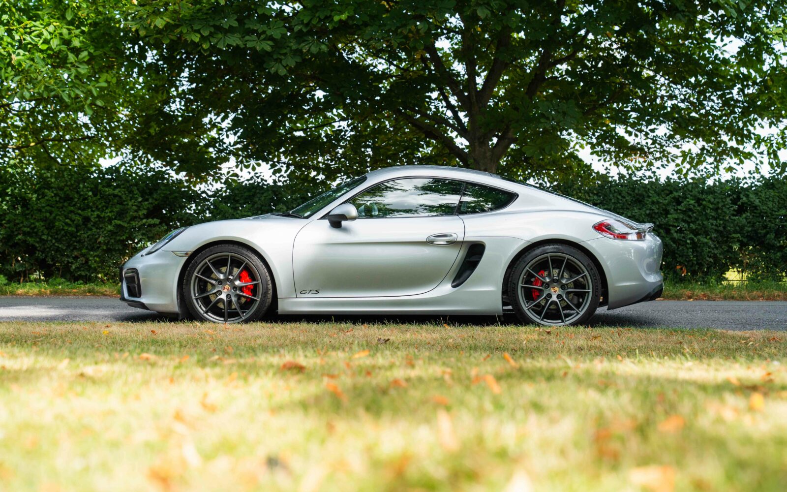 981 Cayman GTS 8
