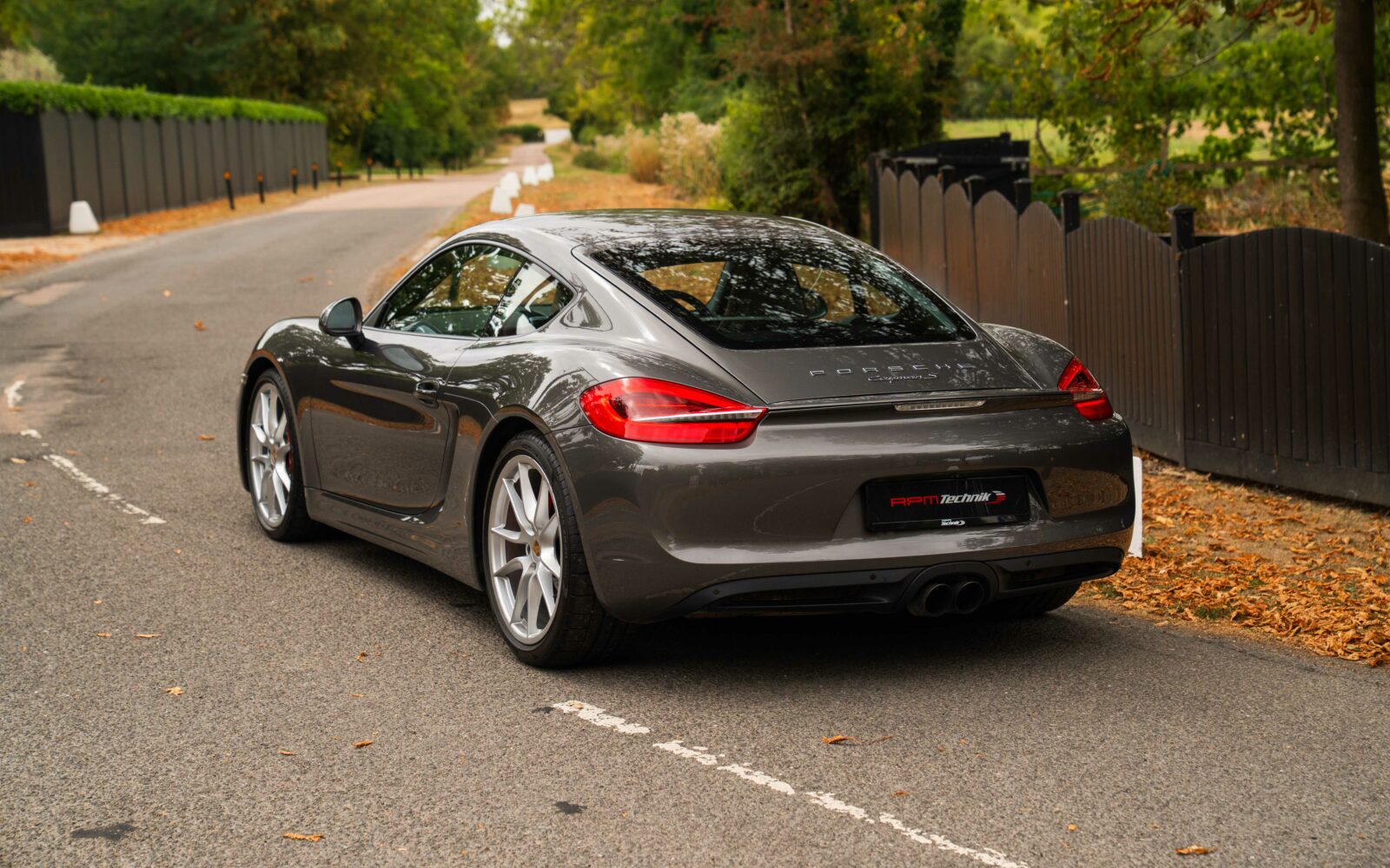 981 Cayman S 25
