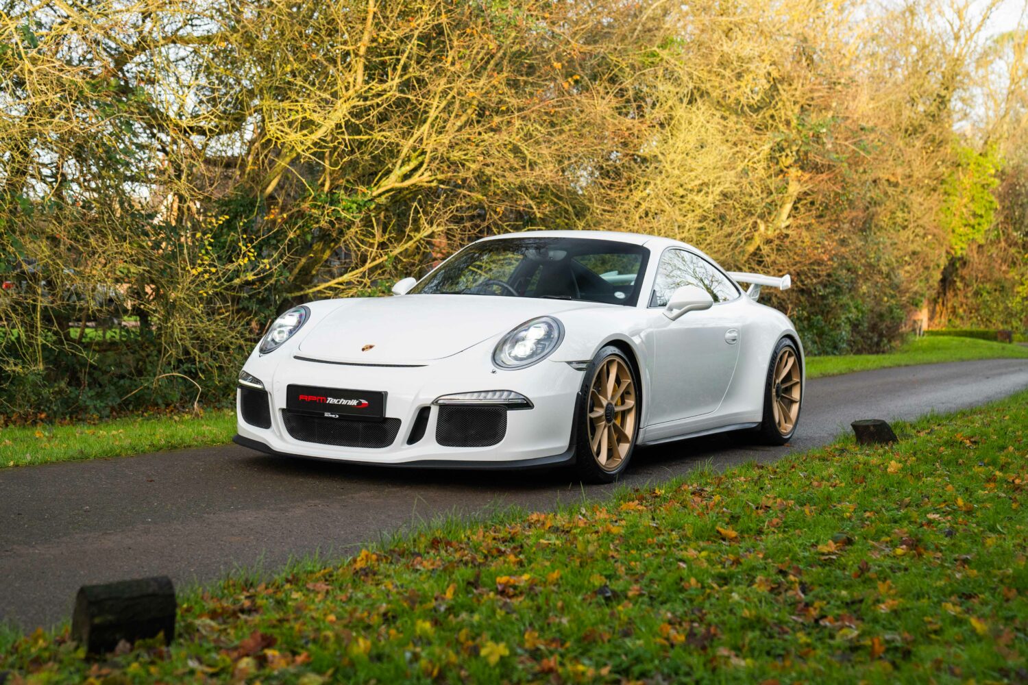 991.2 GT3-29