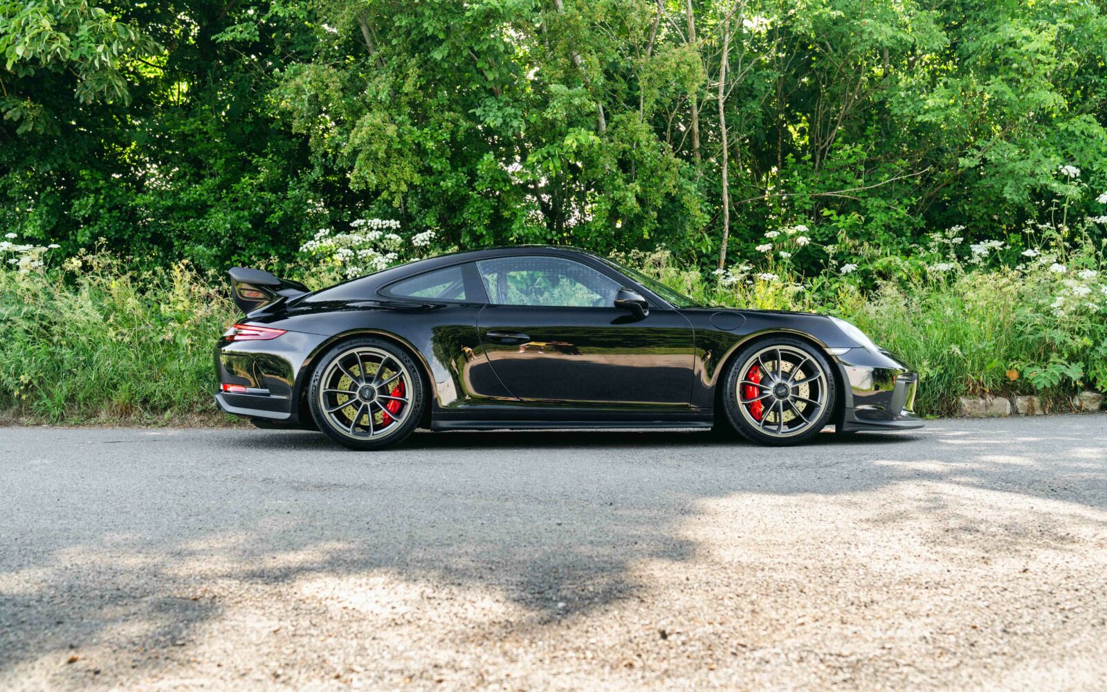 991.2 GT3 55