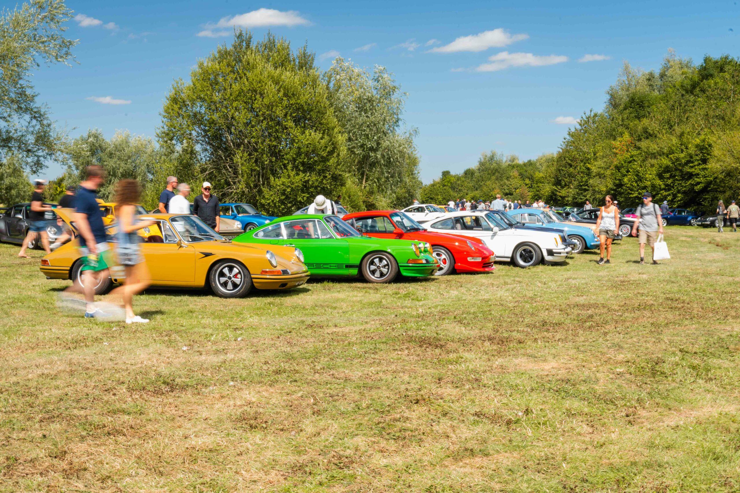 porsches in a field