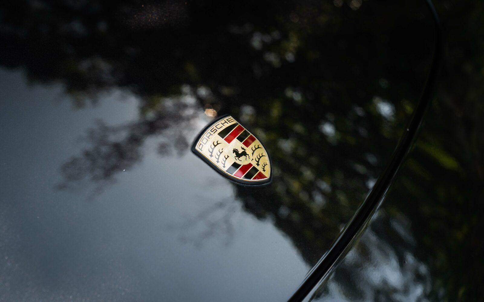 Cayman R 2