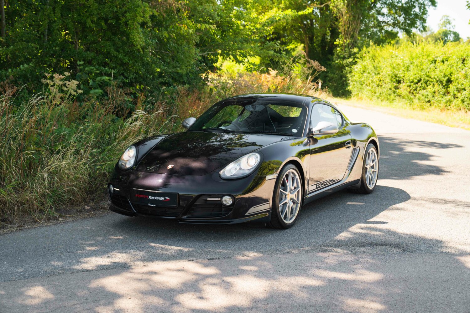 Cayman R-31